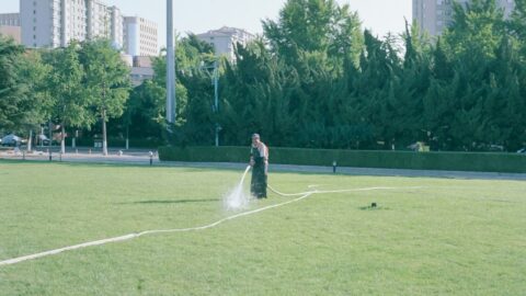 Zelenilo nastavilo radove u Zemunu: uređene površine u četiri lokacije